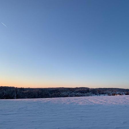Modernes Ferienhaus Im Schwarzwald Freiamt Bagian luar foto