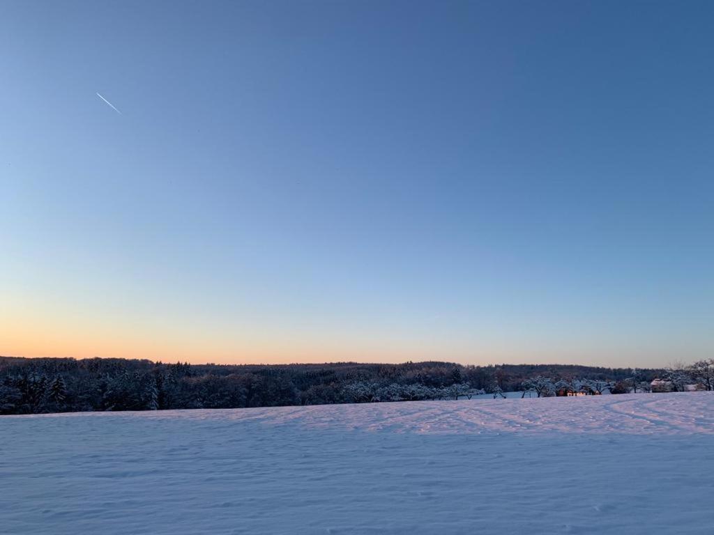 Modernes Ferienhaus Im Schwarzwald Freiamt Bagian luar foto